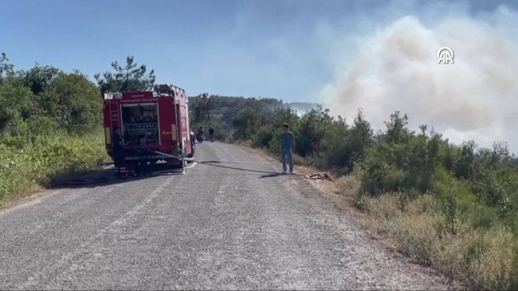 Sakarya'da orman yangını - Resim: 17